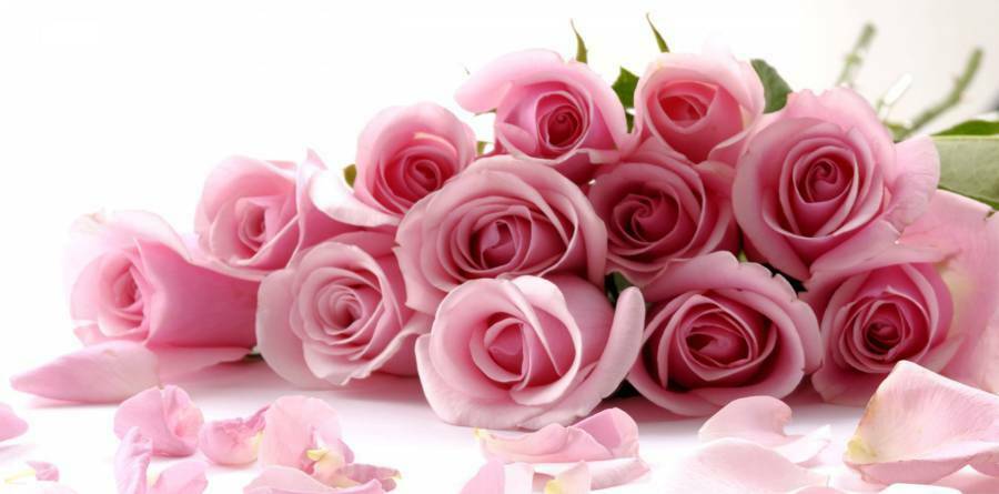 عطر وزرا