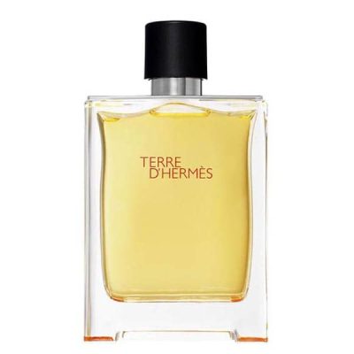 عطر ادکلن هرمس تق هرمس Hermes Terre d'Hermes 200 ml