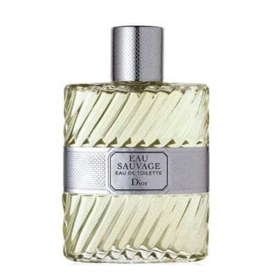 عطر ادکلن دیور او ساواج ادو تویلت | Dior Eau Sauvage