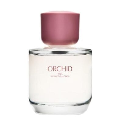 عطر ادکلن زارا ارکید | Zara Orchid