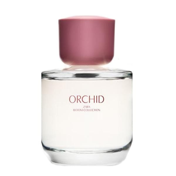 عطر ادکلن زارا ارکید | Zara Orchid