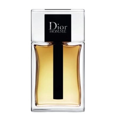 عطر ادکلن دیور هوم (نقرهای) 2020 | Dior Homme 2020