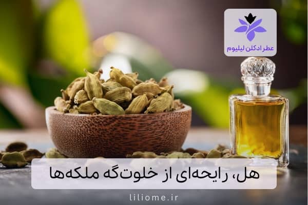 عطر وزرا