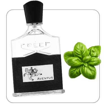 عطر مردانه